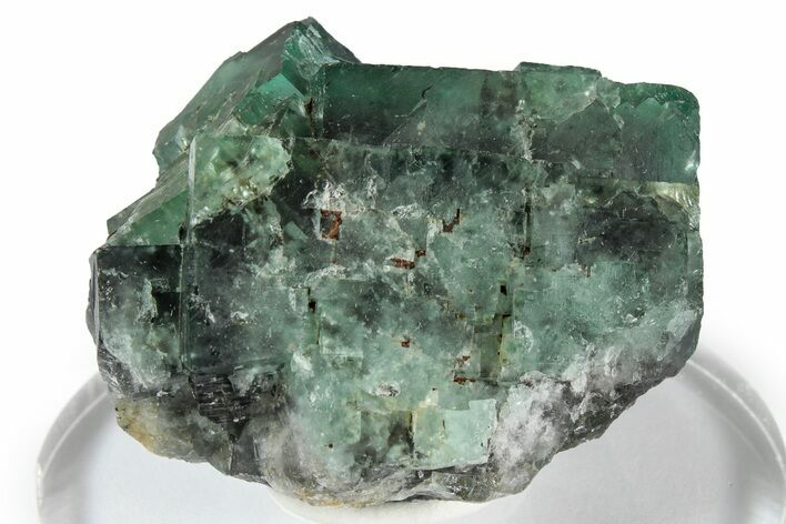 Fluorescent Green Fluorite Twins - Diana Maria Mine, England #337521